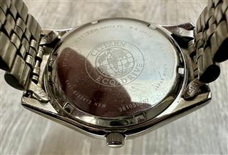 Citizen Eco-Drive WR 100 E101-S053412 Day/Date Men's Watch